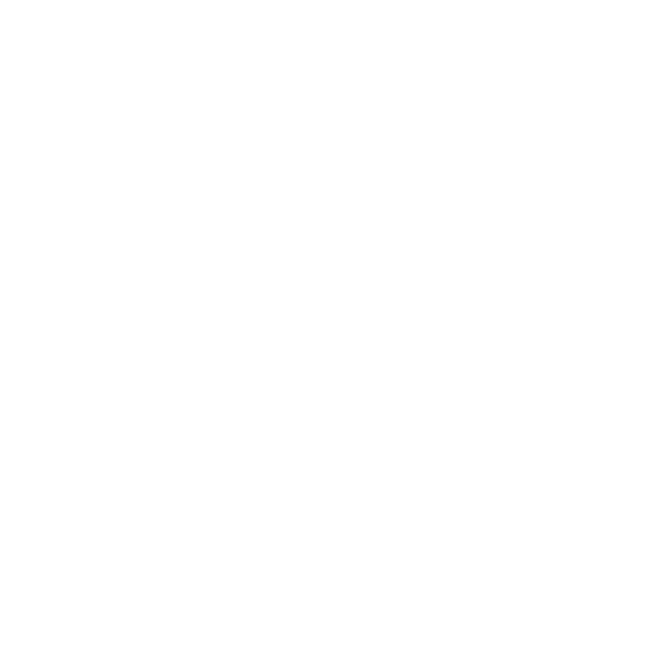 noun-mission-7149685-FFFFFF